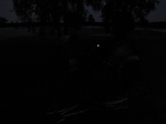 SX24117 Darkness.jpg